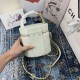 CHANEL香奈兒女士包包限量版小水桶很特別，很漂亮的款式肩帶的五金字母上還鑲著珍珠女單肩包斜挎包手提包AS2061