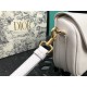 Christian Dior 迪奧 女士BOBBY 2020早秋新款復古包單肩包斜挎包9268-1 9268-2