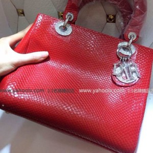 Dior迪奧CD櫃最新 時尚火爆款蛇皮女士單肩包 手提斜跨包 lady01紅色