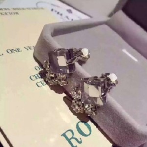 爆款耳夾(無耳洞也能佩戴)Dior專櫃一比一 黃銅材質 鑲嵌施華洛世奇方鑽耳夾！